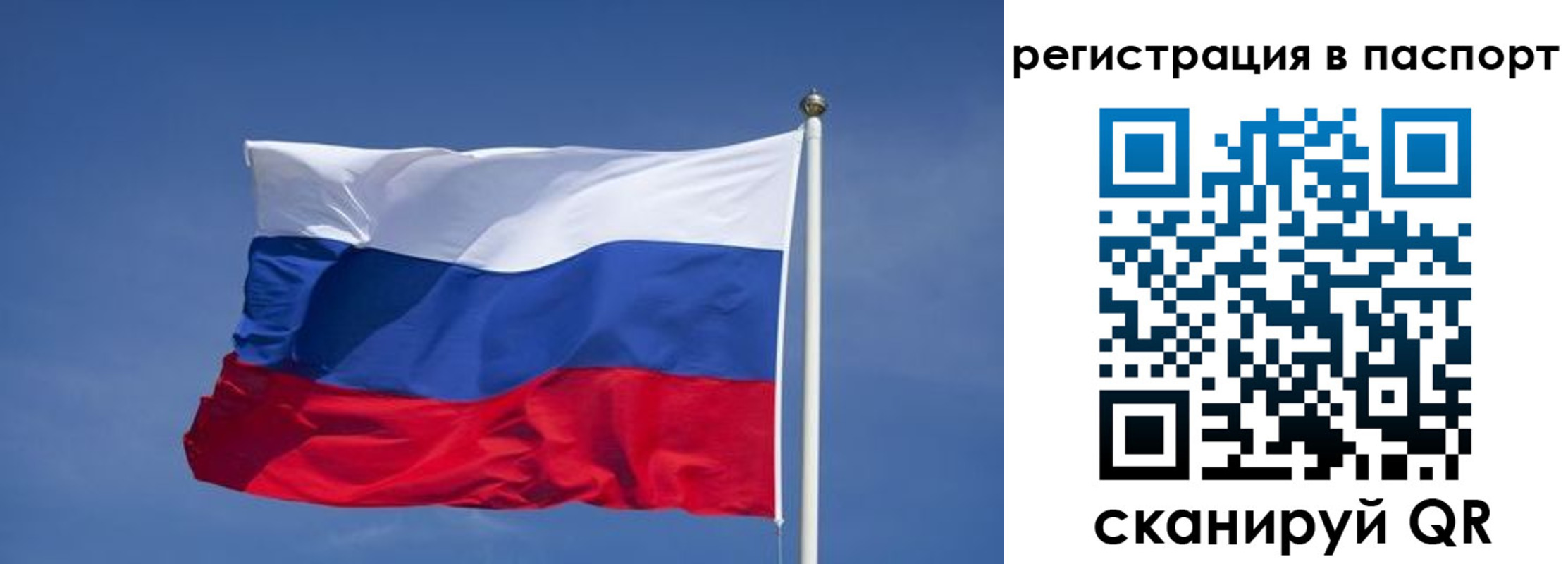 прописка в квартире в Пласте